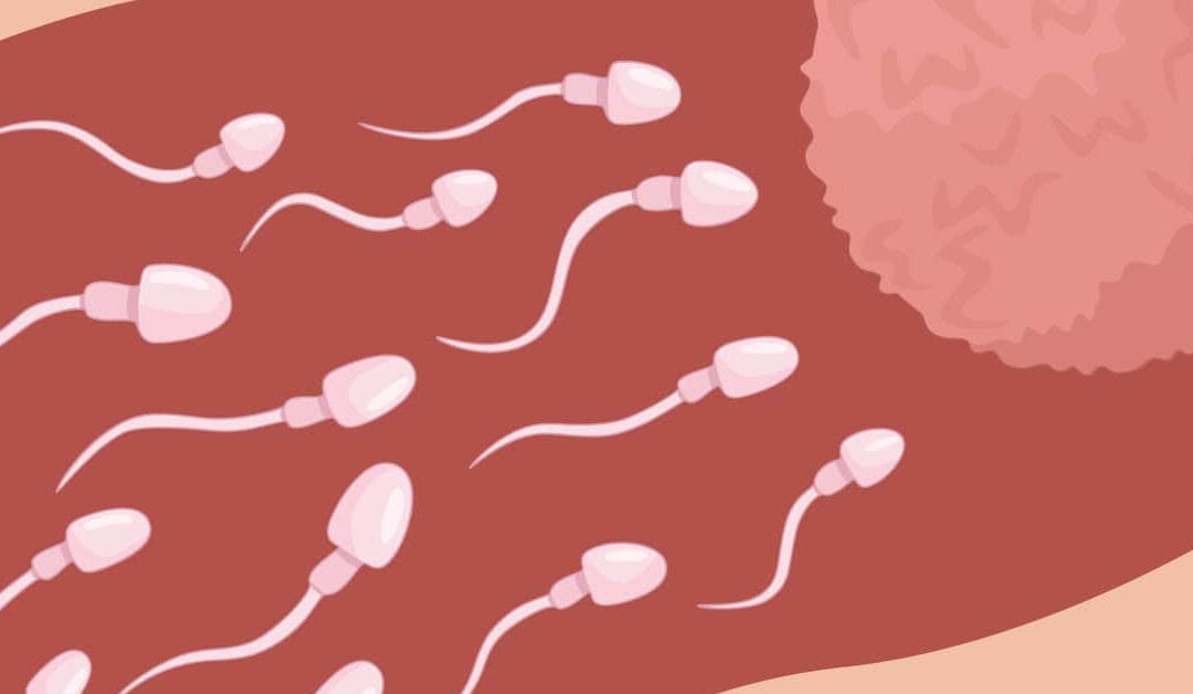 Ini Ciri-Ciri Sperma Sihat Untuk Ikhtiar Hamil Dalam 90 Hari