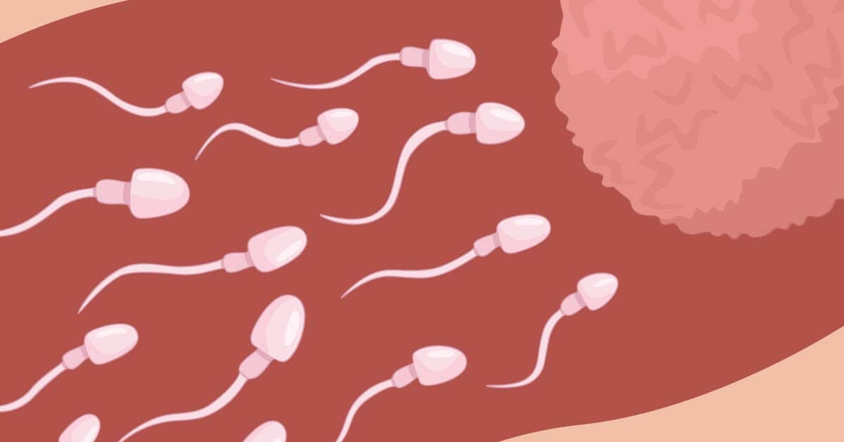 Mujarab-atau-mitos-miyak-lintah-belacak-dhab Mujarab-atau-mitos-miyak-lintah-belacak-dhab