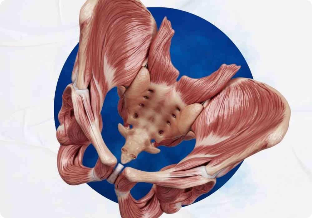 Aesthetic Pelvic Optimisation Program