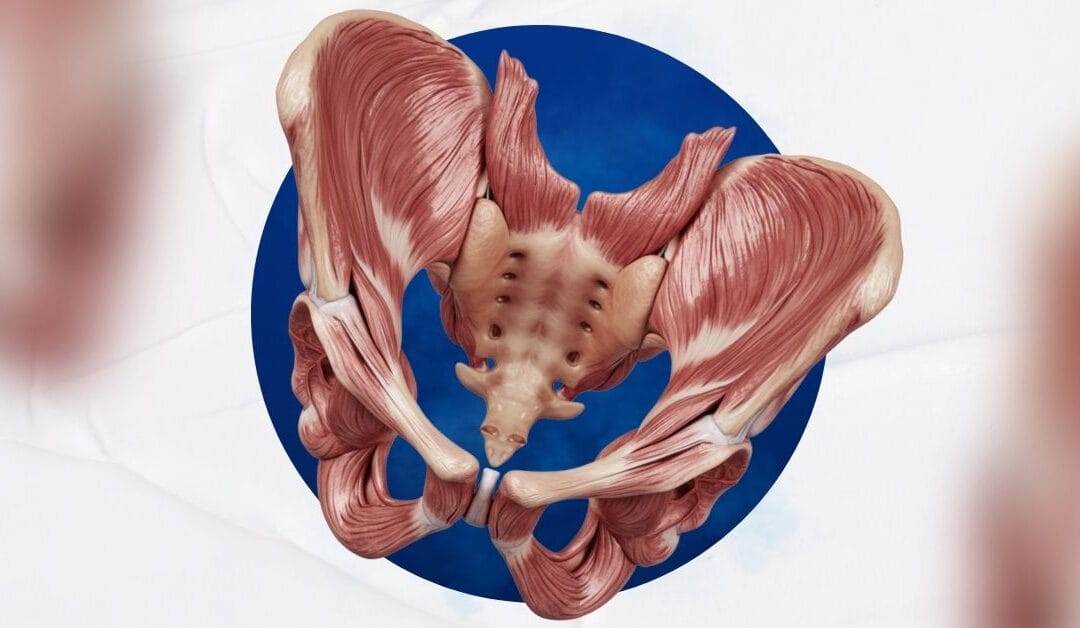 Aesthetic Pelvic Optimisation Program