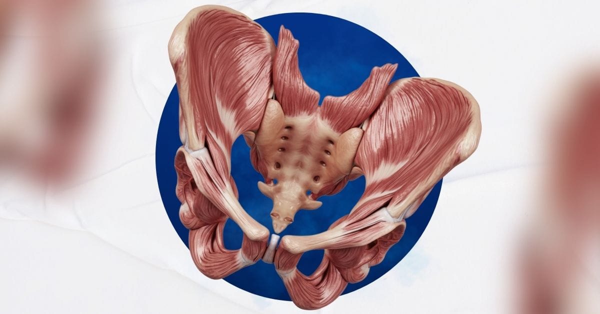 Aesthetic Pelvic Optimisation Program