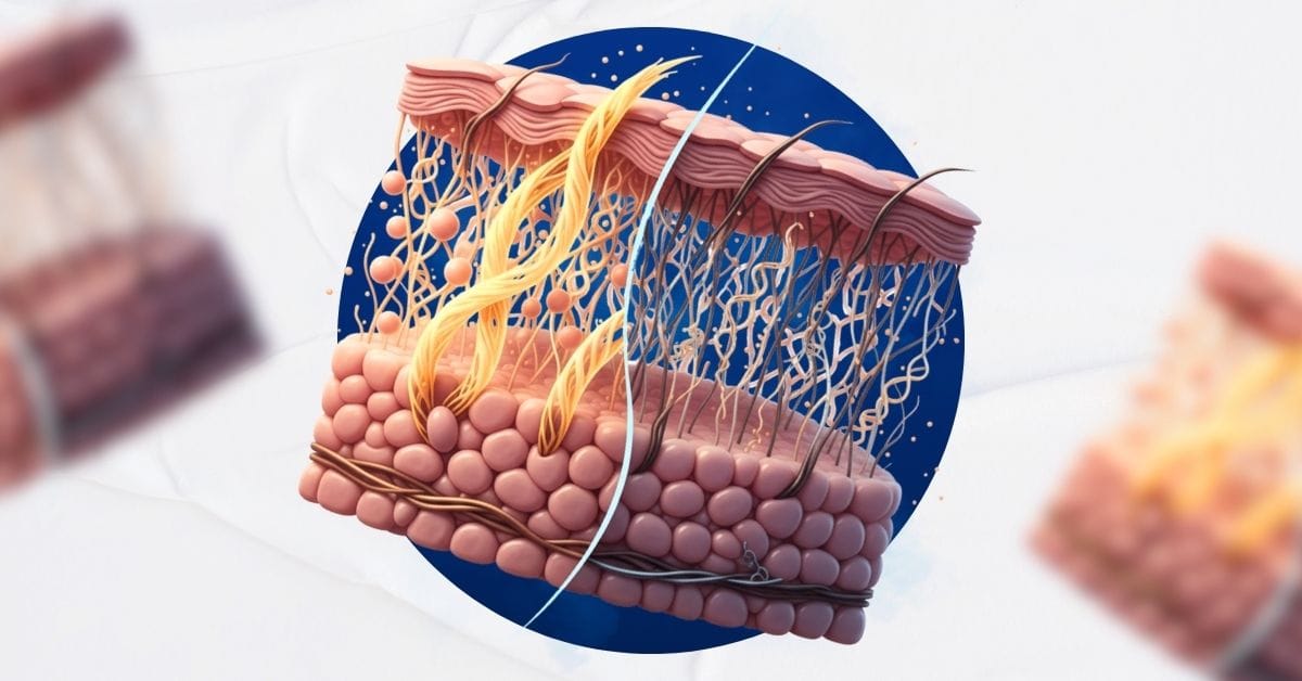 Penile Regenerative Growth Therapy