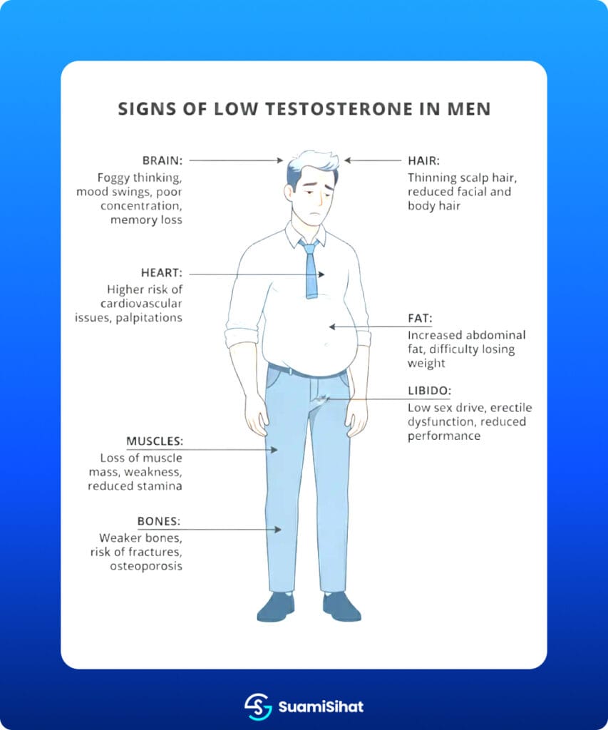 cucuk hormon testosteron