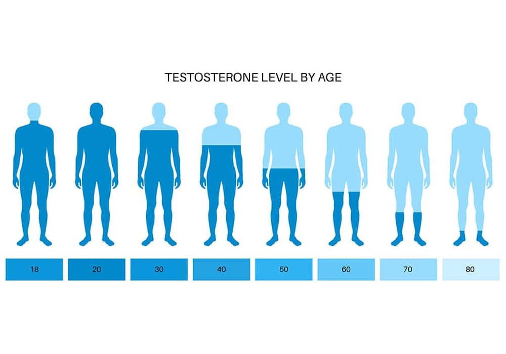 cucuk hormon testosteron