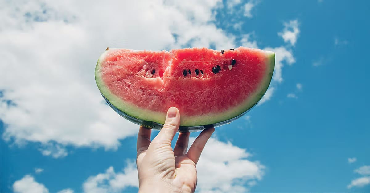 tembikai banyakkan air mani