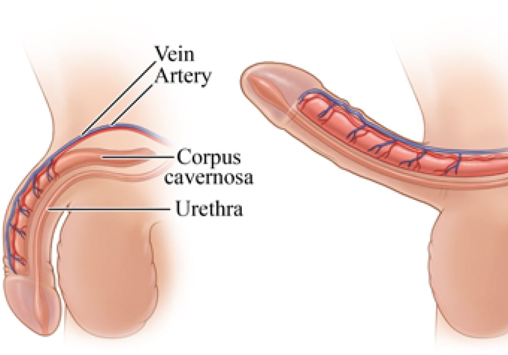 urut zakar untuk naikkan kualiti sperma