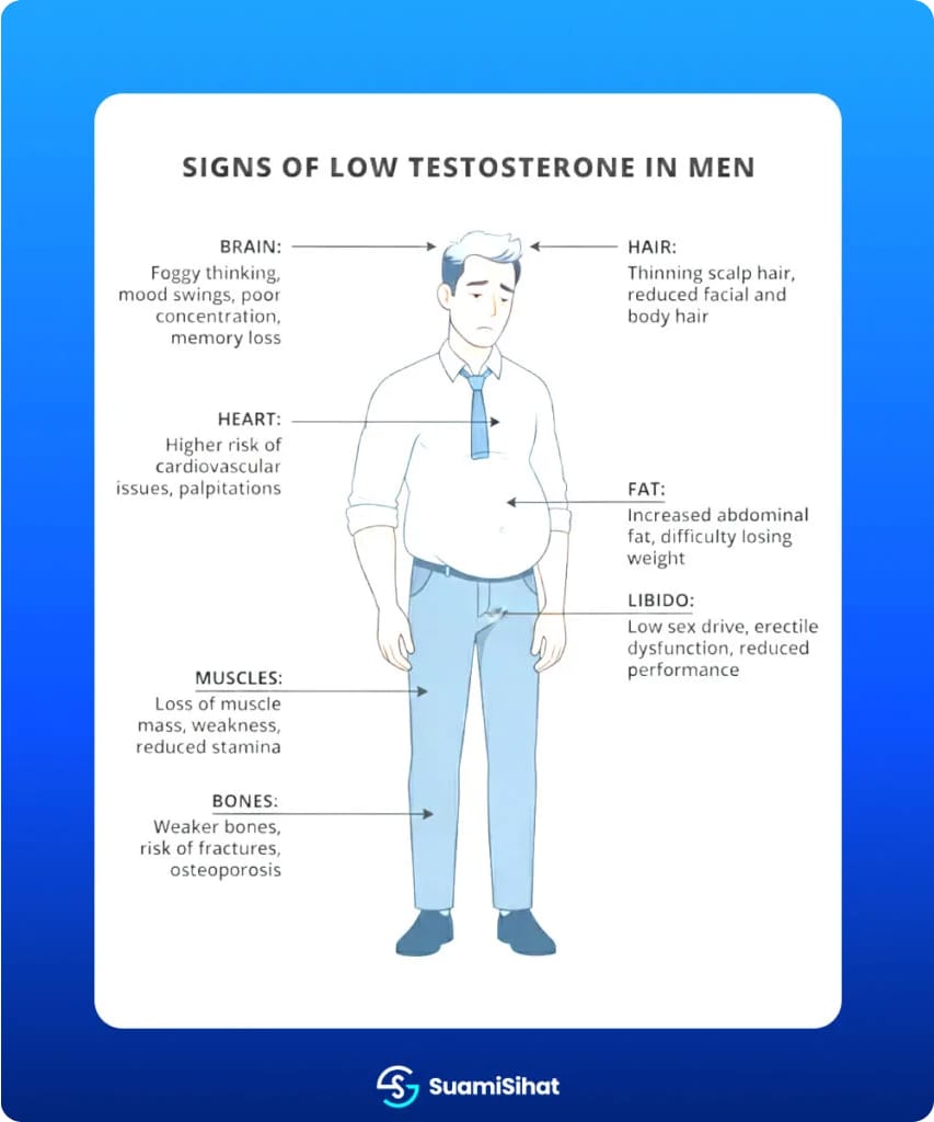 umur ambil testosterone hormone therapy
